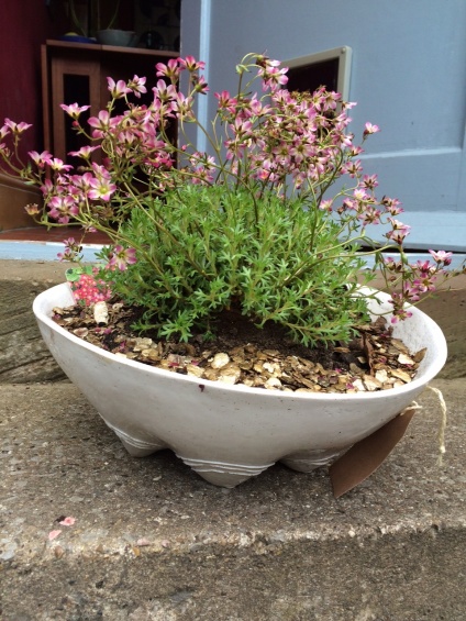 Ceramic planter, garden planter, RHS, RHS Spring Show