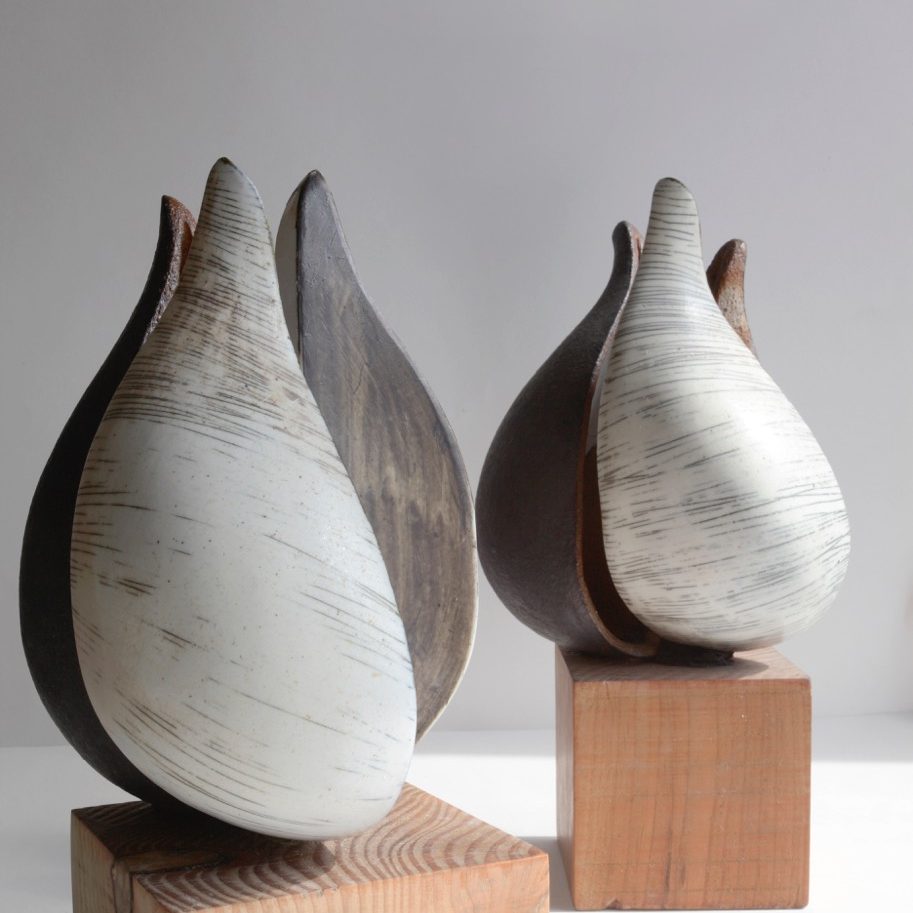 contemporary ceramics, ceramics sheffield, ceramic seed pods
